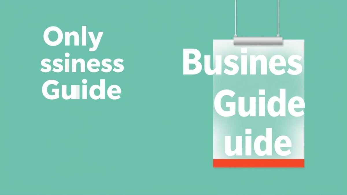 business guide disbusinessfied