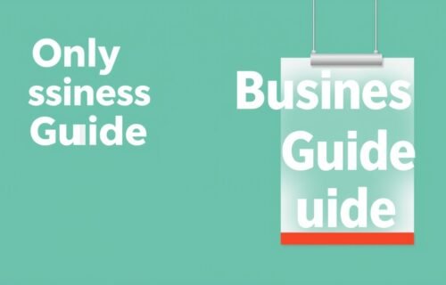 business guide disbusinessfied