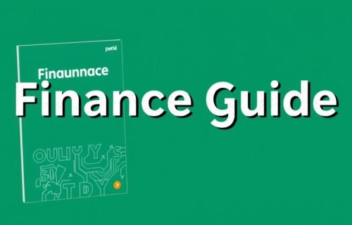 finance guide disbusinessfied